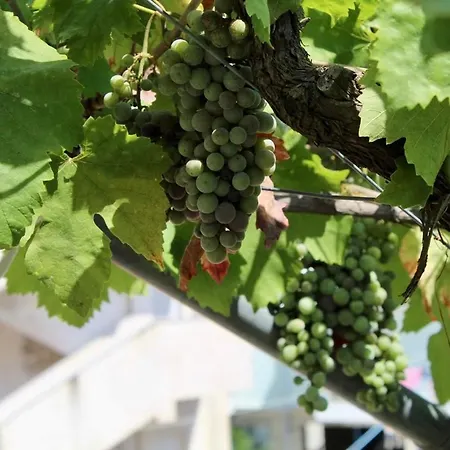 Vourtarea Apartment *