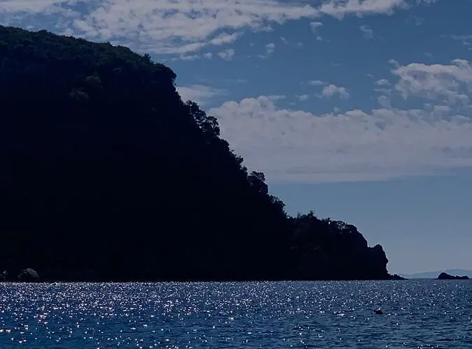 公寓 Vourtarea 希马拉